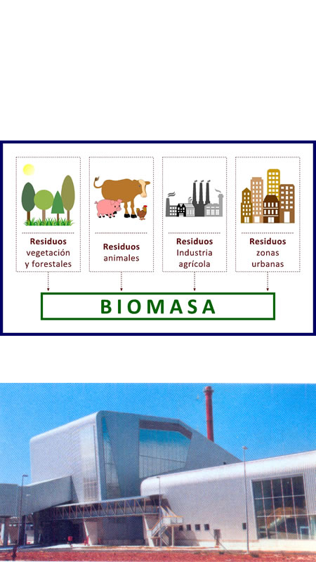 Planta de biomasa
